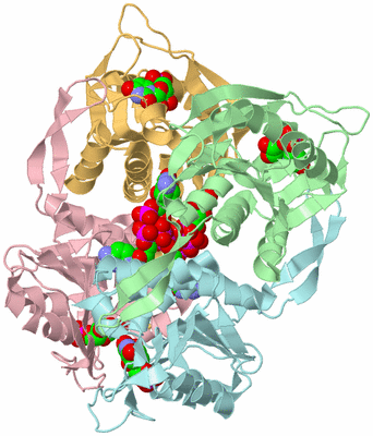 Image Biological Unit 2