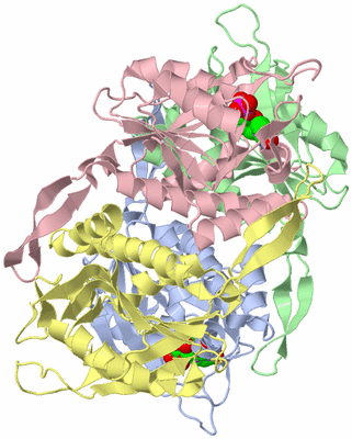 Image Biological Unit 1