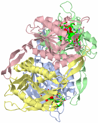 Image Biol. Unit 1 - sites