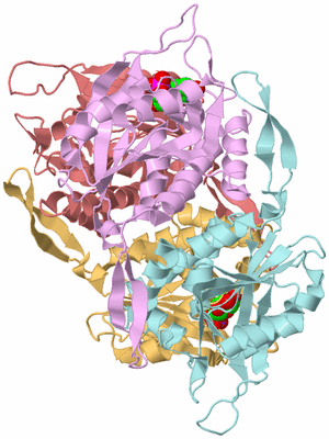 Image Biological Unit 2