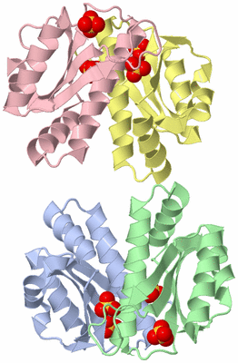 Image Asymmetric Unit