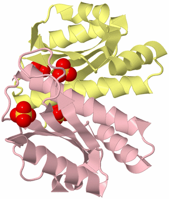 Image Biological Unit 2