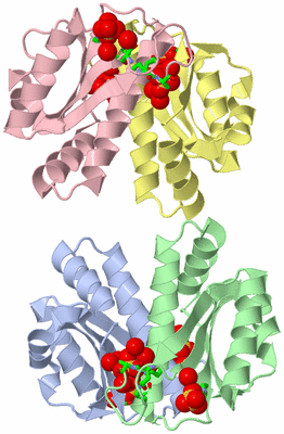 Image Asym. Unit - sites