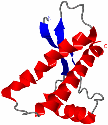 Image NMR Structure - model 1