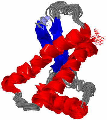 Image NMR Structure - all models