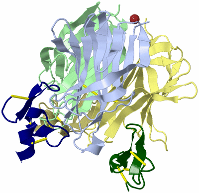 Image Asym./Biol. Unit