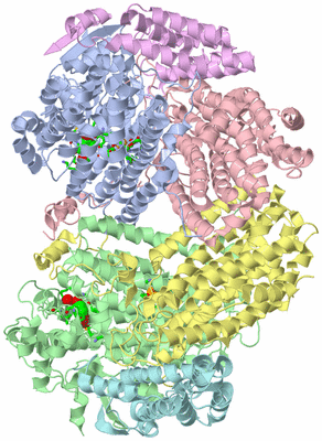 Image Asym./Biol. Unit - sites