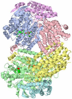 Image Asym./Biol. Unit - sites