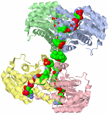 Image Biological Unit 1