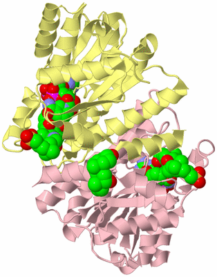 Image Biological Unit 2