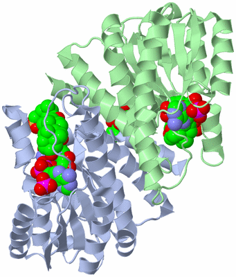 Image Biological Unit 3