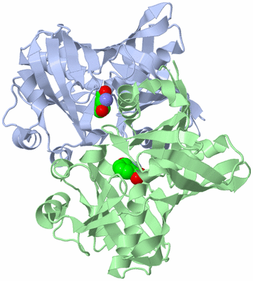 Image Asym./Biol. Unit
