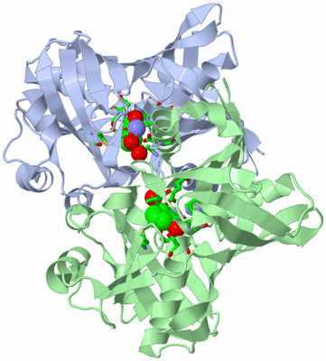 Image Asym./Biol. Unit - sites