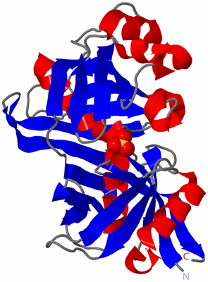 Image Asymmetric Unit