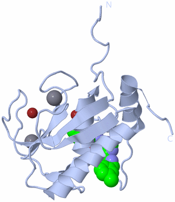 Image Biological Unit 1