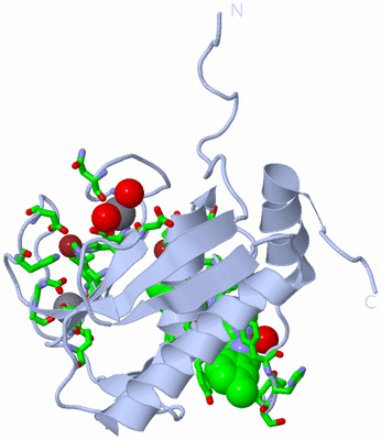 Image Biol. Unit 1 - sites