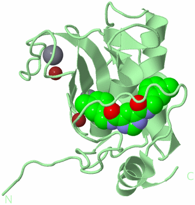 Image Biological Unit 2