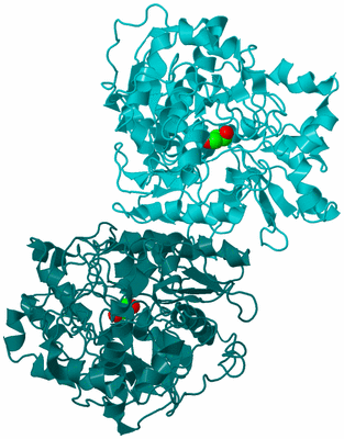 Image Asym./Biol. Unit