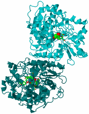 Image Asym./Biol. Unit - sites