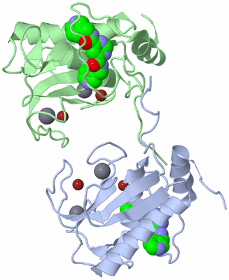 Image Biological Unit 1