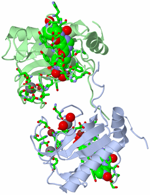 Image Biol. Unit 1 - sites