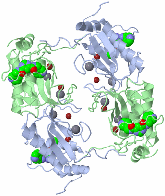 Image Biological Unit 2