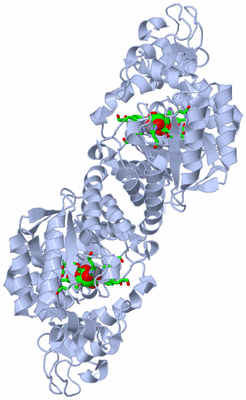 Image Biol. Unit 1 - sites