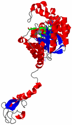 Image Asym. Unit - sites