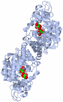 Image Biological Unit 1