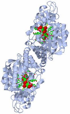 Image Biol. Unit 1 - sites