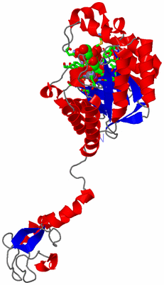 Image Asym. Unit - sites