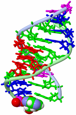 Image NMR Structure - model 1