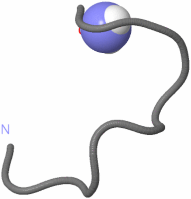 Image NMR Structure - model 1