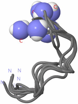 Image NMR Structure - all models