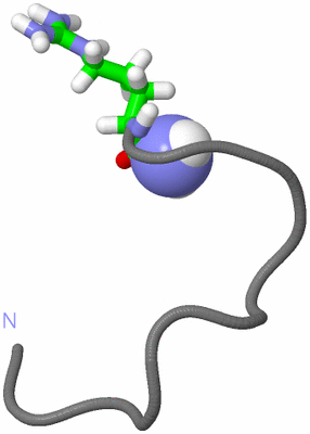 Image NMR Structure - model 1, sites