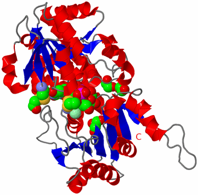 Image Asym./Biol. Unit