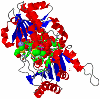 Image Asym./Biol. Unit - sites