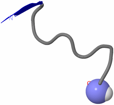 Image NMR Structure - model 1