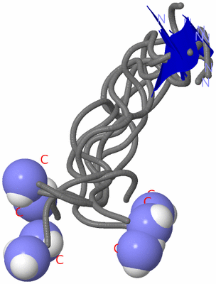 Image NMR Structure - all models