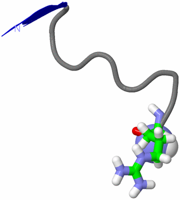 Image NMR Structure - model 1, sites