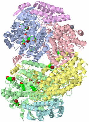 Image Asym./Biol. Unit