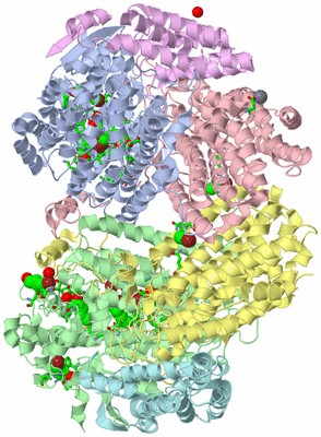 Image Asym./Biol. Unit - sites