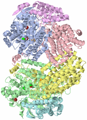 Image Asym./Biol. Unit