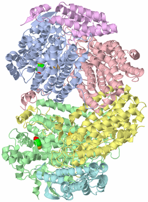 Image Asym./Biol. Unit