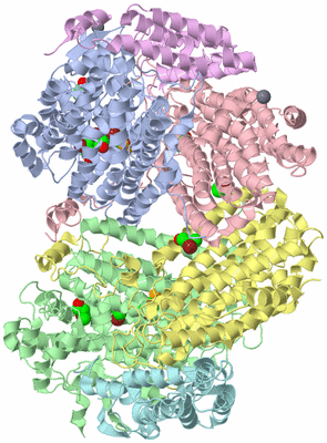 Image Asym./Biol. Unit