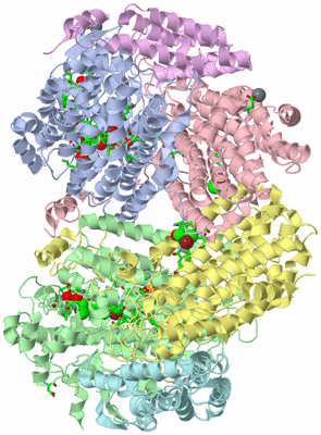 Image Asym./Biol. Unit - sites