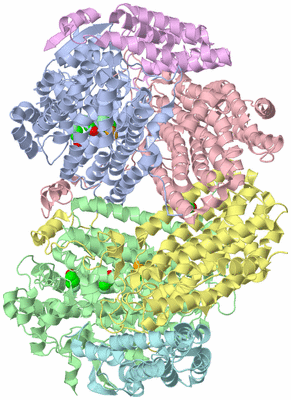 Image Asym./Biol. Unit