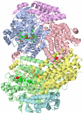 Image Asym./Biol. Unit - sites