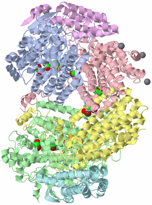 Image Asym./Biol. Unit