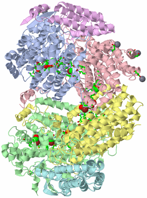 Image Asym./Biol. Unit - sites